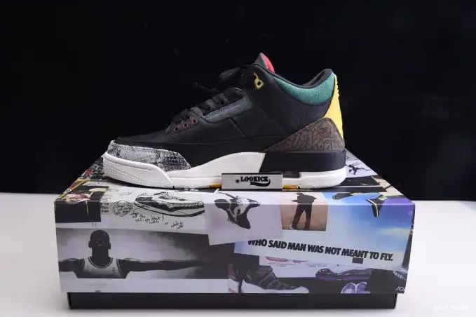 Rep Air Retro 3 Animal SE CV3583-003 Jordan 2.0 Instinct - 0512